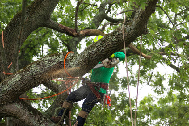 Landscape Design and Installation in Oakhurst, OK